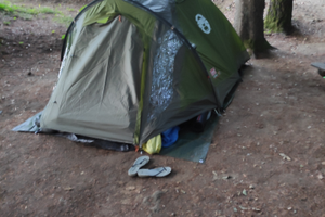 Tenda Coleman Darwin 3 plus
