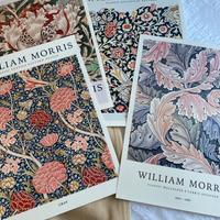 Quattro splendidi Poster William Morris 33 × 48