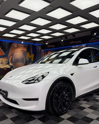 Tesla Model Y Long Range AWD (892)