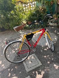 Bicicletta Vicini