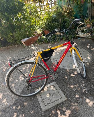 Bicicletta Vicini