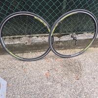 cerchi bici