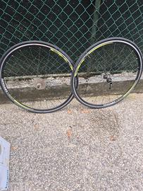 cerchi bici