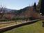 Immagine 9