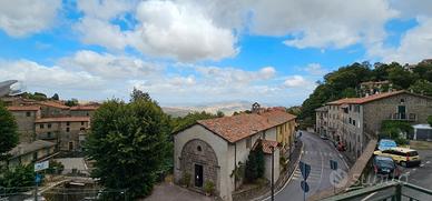 Appartamento vista panoramica Amiata