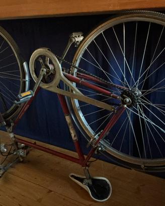 Bicicletta Vintage Pecorari anni ‘60
