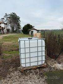 Cisterna IBC 1000 Litri Usata (ex AdBlue)
