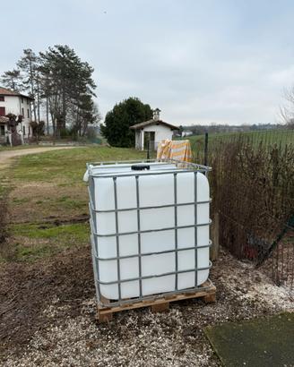 Cisterna IBC 1000 Litri Usata (ex AdBlue)