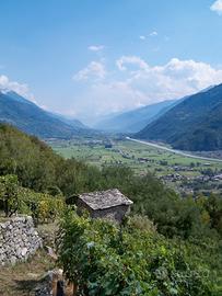 Rustico Valtellina con terreno