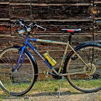 Bici Legnano