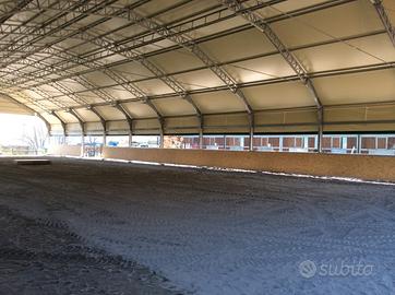 Tensostruttura maneggio coperto capannone in ferro