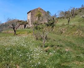 Casa Indipendente con Terreno di circa 3500 mq