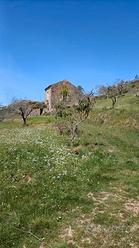 Casa Indipendente con Terreno di circa 3500 mq