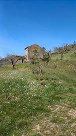 Casa Indipendente con Terreno di circa 3500 mq