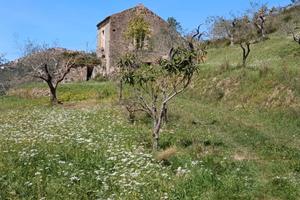 Casa Indipendente con Terreno di circa 3500 mq