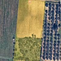 Terreno agricolo - VIgneto Primitivo