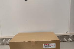 Codino monoposto Nuovo per R1 (dal 2020 al 2024) R