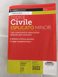 Codice civile esplicato  2022