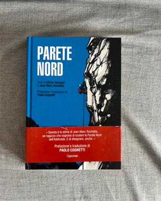Parete Nord di Rochette Bocquet e Cognetti