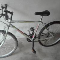 Bici Mountain Bike Rubino
