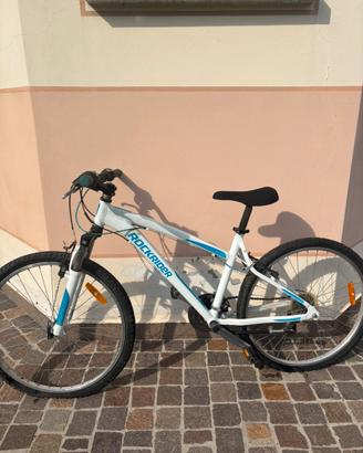bicicletta