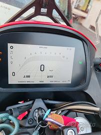 Morini x cape 650 2024
