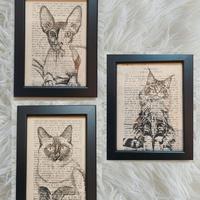 Quadro gatto cat main coon siamese sphynx