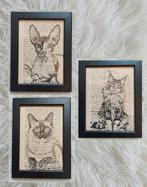 Quadro gatto cat main coon siamese sphynx