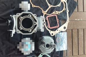 Gruppo termico Rotax 123