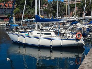 Plastivela Mousse 9.07