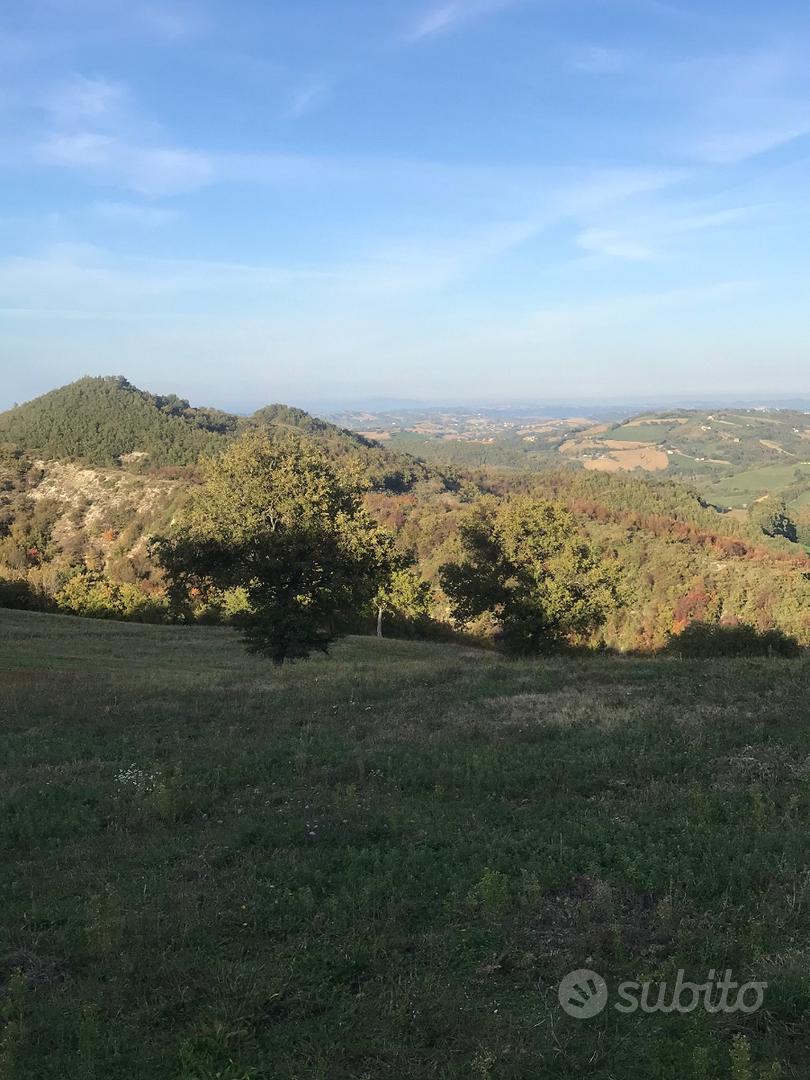 Terreno agricolo - Vista 5