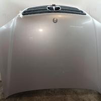 COFANO ANTERIORE MERCEDES ML W163 1Â° Serie A16388