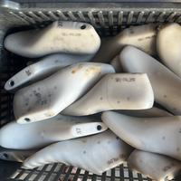 Forme scarpa donna stivaletto Paloma plastica