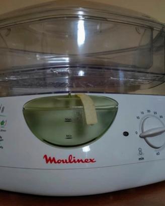 Vaporiera Moulinex Crystalia