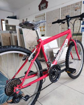 bicicletta 24 montainbike SEMI NUOVA