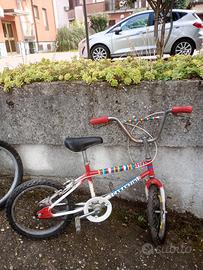 Bicicletta Garanzini