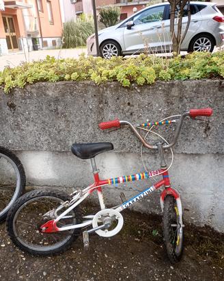 Bicicletta Garanzini