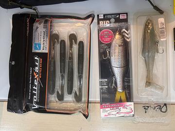 Lotto bass hard e soft