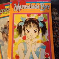 Marmelade Boy (1998) prima serie completa
