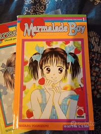 Marmelade Boy (1998) prima serie completa