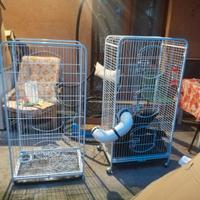 Gabbia per cincillà, degu e simili