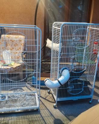 Gabbia per cincillà, degu e simili