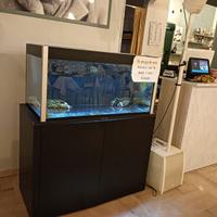 Acquario per astici