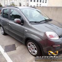 FIAT Panda 1.0 firefly hybrid City Life s&s 70cv