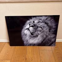 Quadro 60 × 40