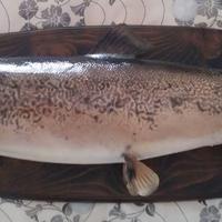 trofeo pesca