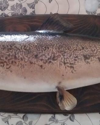 trofeo pesca