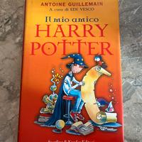 libro “ il mio amico harry potter “