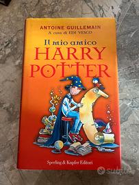 libro “ il mio amico harry potter “