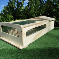 Terrario per tartarughe 80x40x20 Lati con Rete